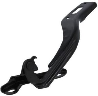 Honda Scharnier, motorkap 6802002939452P