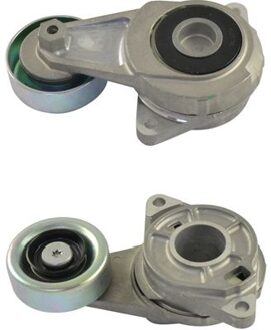 Honda Spanrol Poelie DTP2007