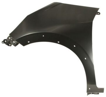 Honda Spatbord 6504042904315P