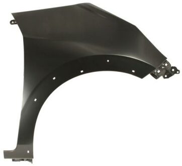 Honda Spatbord 6504042904316P