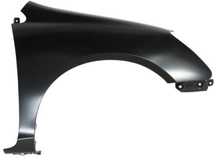 Honda Spatbord 6504042938318P