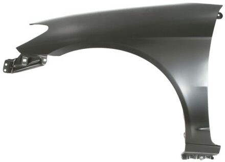 Honda Spatbord 6504042938319P