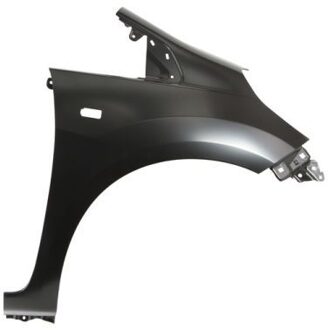 Honda Voorspatbord Rechts 6504042901316P