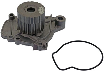 Honda Waterpomp 17340