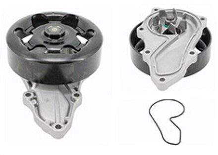 Honda Waterpomp 538080310