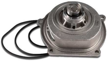 Honda Waterpomp P049