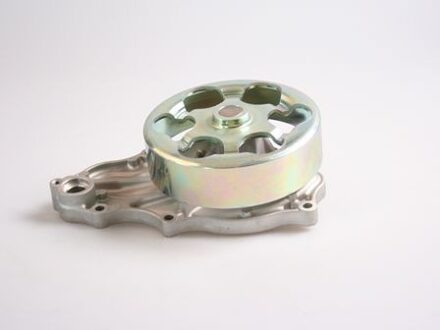Honda Waterpomp P7834