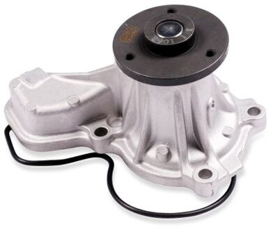 Honda Waterpomp P7842