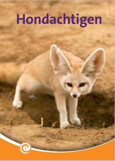 Hondachtigen -  Geert-Jan Roebers (ISBN: 9789464390544)