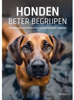 Honden Beter Begrijpen