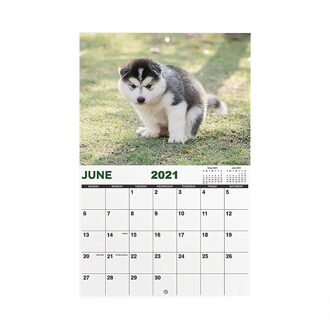 Honden Pooping Kalender Muur Kalender 12-Maand Schema Kalender Papier Muur Kalenders Voor Jaar Van De Os een Pagina