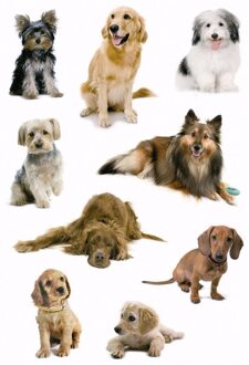 Honden stickers - 3x velletjes - hobbystickers hondjes - plakstickers