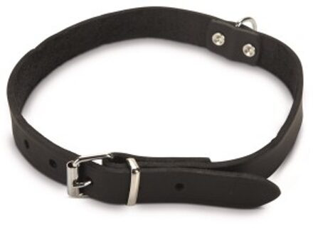 Hondenhalsband - Zwart - 37,5-46,5 cm x 20mm