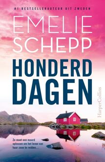 Honderd dagen - Emelie Schepp - ebook