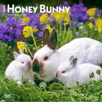 Honey Bunny 2025 12 X 24 Inch Monthly Square Wall Calendar Plastic-Free Browntrout Domestic Small - Browntrout