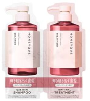 Honeyque Rich Gloss Shampoo & Treatment Trial Set 10ml x 2