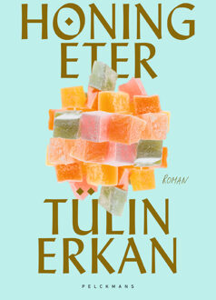 Honingeter -  Erkan Tülin (ISBN: 9789464015324)