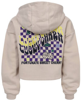 Hoodie 2531-5303-041 Beige - 128