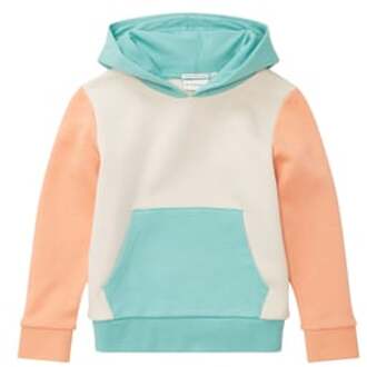 Hoodie Color block Dusty Green Kleurrijk - 104/110