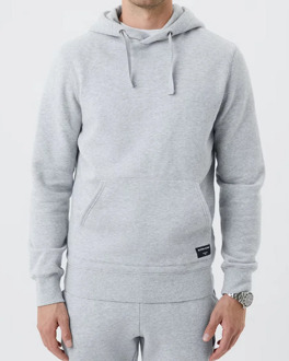 hoodie sweatshirt - heren trui met capuchon dik - lichtgrijs melange -  Maat: S