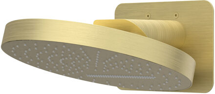 Hoofddouche IVY HALO Wandmodel Inc. Wandbeugel en Inbouwbox 32 cm Geborsteld Mat Goud PVD