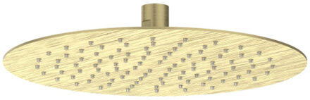 Hoofddouche IVY Slim 25 cm Anti-Kalk Nozzels Eco-Air Geborsteld Mat Goud PVD