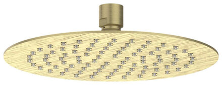 Hoofddouche - slim - 20cm - antikalk nozzels - Eco-air - Geborsteld mat goud PVD 6900504 Goud geborsteld