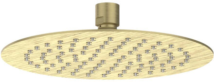 Hoofddouche - slim - 20cm - antikalk nozzels - Eco-air - Geborsteld mat goud PVD 6900504 Goud geborsteld