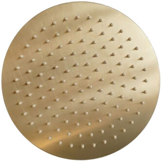 Hoofddouchekop Sanilux Disk Rond 20 cm Geborsteld Goud