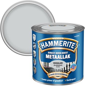 Hoogglans Zilvergrijs S015 250ML
