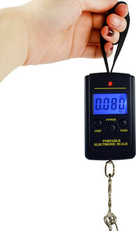 Hook Electronic Scale Luggage Travel Fishing Spring Measuring Equipment