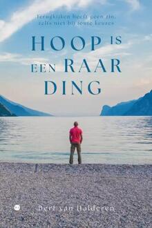 Hoop is een raar ding -  Bert van Halderen (ISBN: 9789464893250)