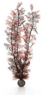 Hoornkoraal - Aquarium Plant - Extra Large - Rood