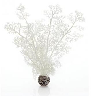 hoornkoraal wit - middel