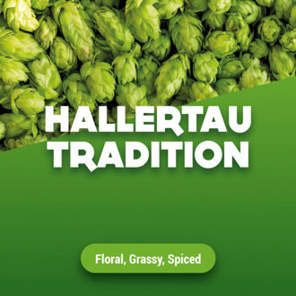 Hopbellen Hallertau Tradition 5 kg