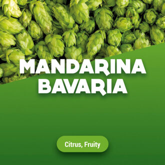 Hopbellen Mandarina Bavaria 100 g