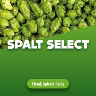 Hopbellen Spalt Select 5 kg