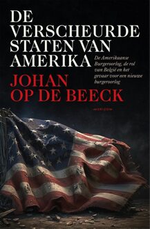 Horizon De verscheurde staten van Amerika - Johan Op de Beeck - ebook