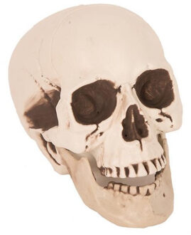 Horror decoratie schedel/doodshoofd - 21 cm - Halloween kerkhof decoratie en versiering Wit