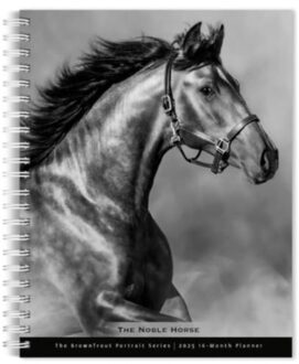 Horse The Noble The Browntrout Portrait