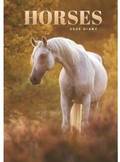 Horses A5 Diary 2025 - Calendars, Carousel