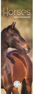 Horses Slim Calendar 2025 - Calendars, Carousel