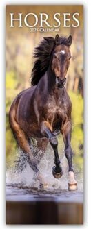 Horses Slim Calendar 2025 Horses Slimline Calendar - 12 Month - Slimline-Kalender (Browntrout) - Avonside Publishing Ltd