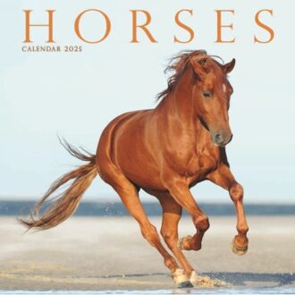 Horses Square Mini Calendar 2025 - Avonside Publishing Ltd