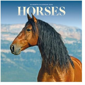 Horses Square Mini Sunday Start Calendar - Carousel Calendars