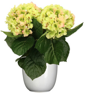 Hortensia kunstplant/kunstbloemen 36 cm - groen/roze - in pot wit glans