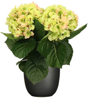 Hortensia kunstplant/kunstbloemen 36 cm - groen/roze - in pot zwart mat