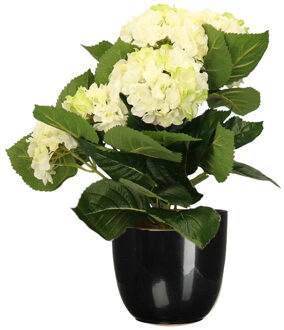 Hortensia kunstplant/kunstbloemen 36 cm - wit/groen - in pot zwart glans - Kunstplanten