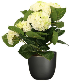 Hortensia kunstplant/kunstbloemen 36 cm - wit/groen - in pot zwart mat