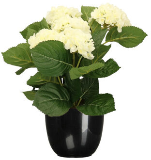 Hortensia kunstplant/kunstbloemen 36 cm - wit - in pot zwart glans - Kunstplanten